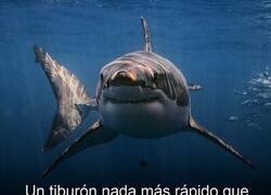 Enlace a Me veo con opciones