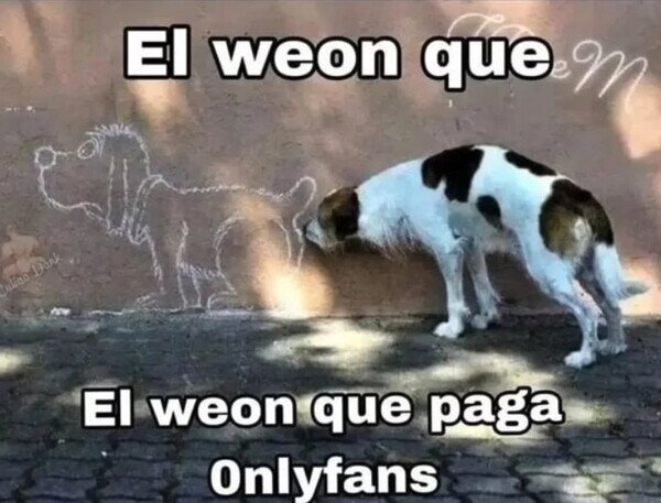 Meme_otros - Más o menos así