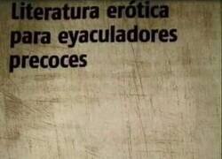 Enlace a Novela breve