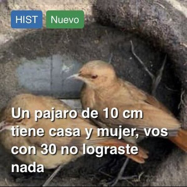Meme_otros - La noticia que arruinará tu día