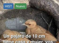 Enlace a La noticia que arruinará tu día
