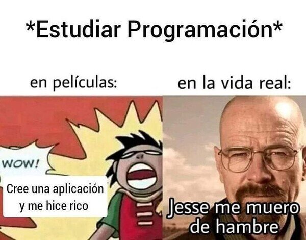 Meme_otros - La programación no es un camino fácil