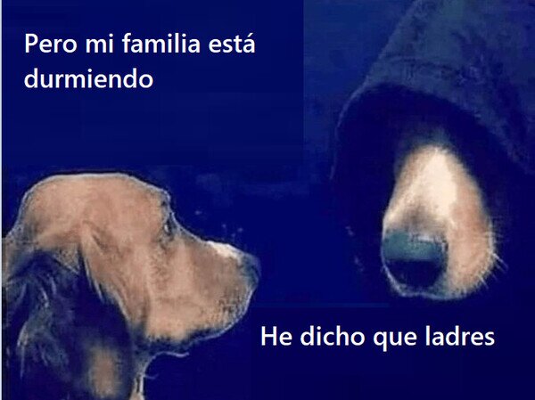 perro,ladrar,noche,dormir