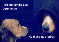 Enlace a Alguien le está diciendo cosas a Firulais