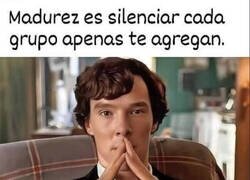 Enlace a Soy muy maduro en este aspecto