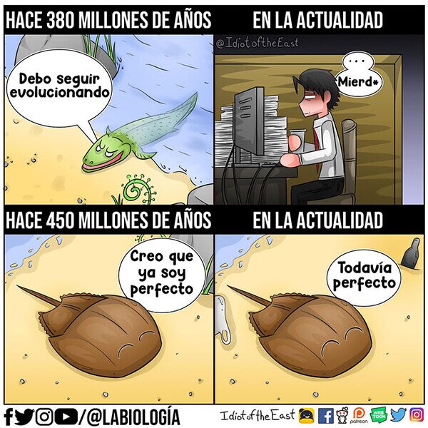 Meme_otros - El ser más inteligente de la historia