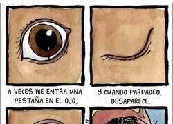 Enlace a Mi máxima preocupación