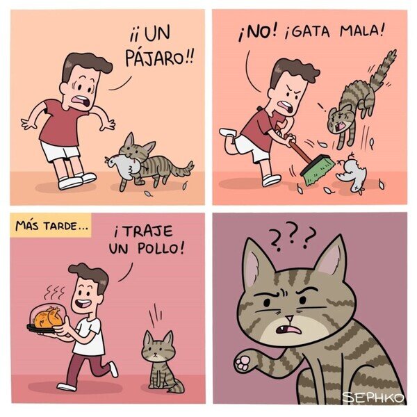 Meme_otros - Gato no entender