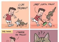 Enlace a Gato no entender