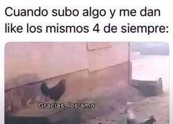 Enlace a Mis incondicionales