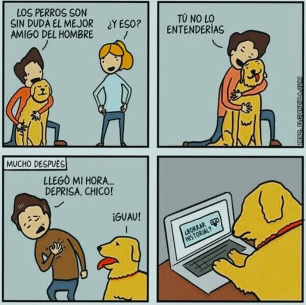 Meme_otros - El mejor amigo del hombre