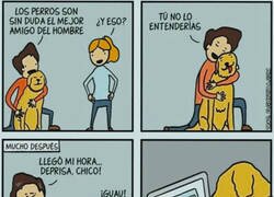 Enlace a El mejor amigo del hombre