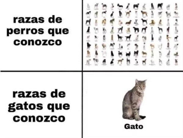 Meme_otros - Todas las razas que conozco