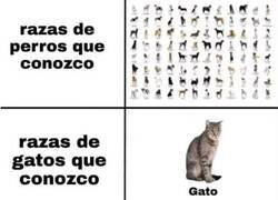 Enlace a Todas las razas que conozco