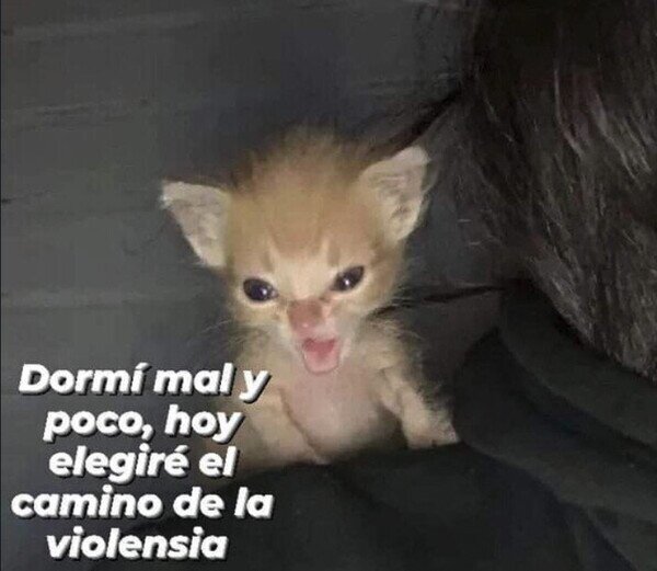 Otros - No se metan conmigo