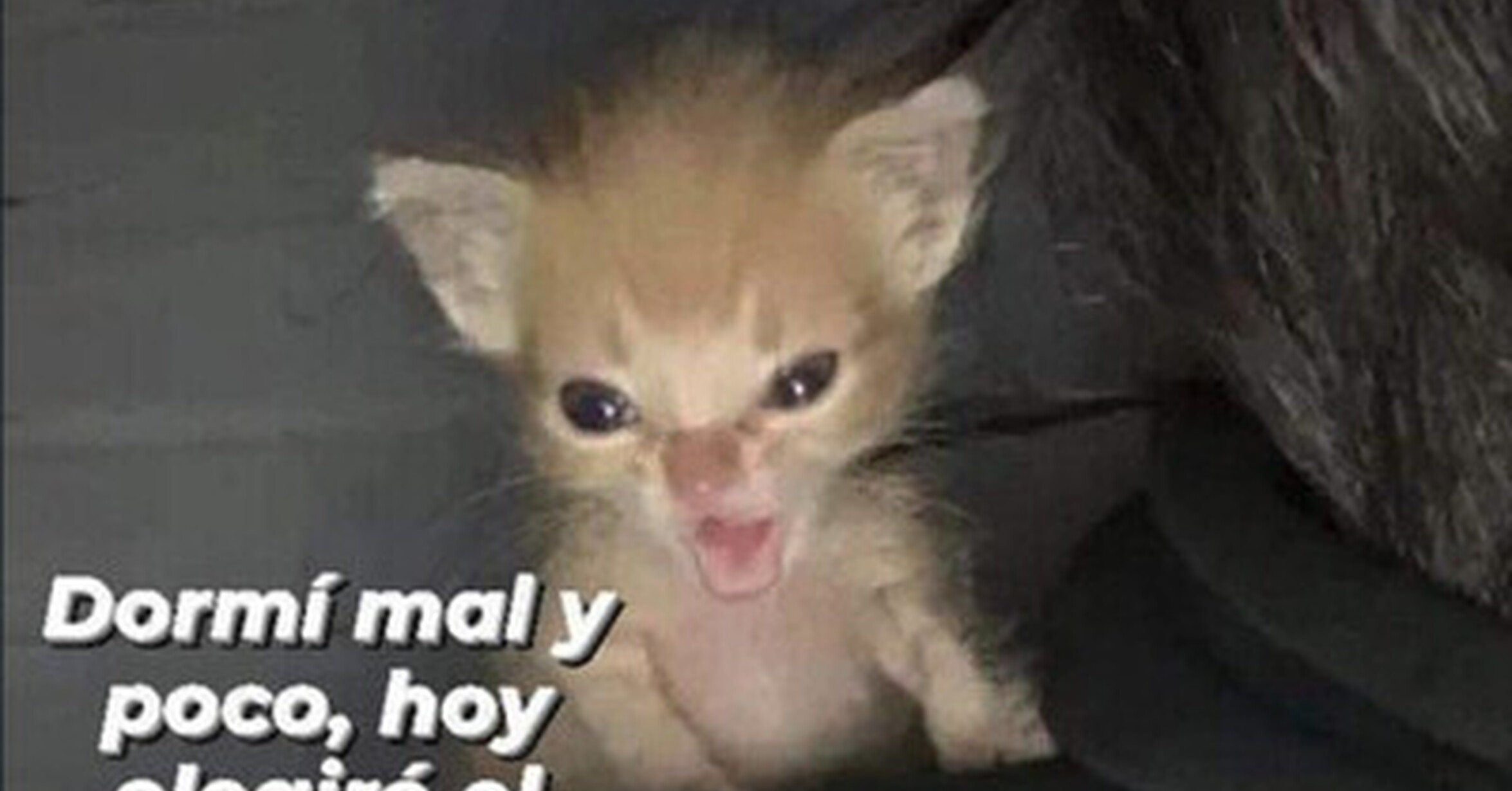 No se metan conmigo