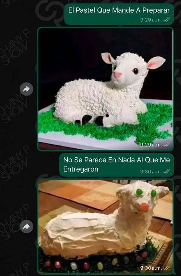 pastel,mandar,entregar,cabra,mal