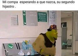 Enlace a Que nervios