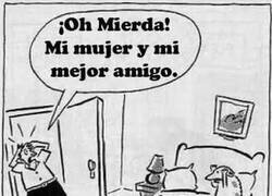 Enlace a No hay peor traición