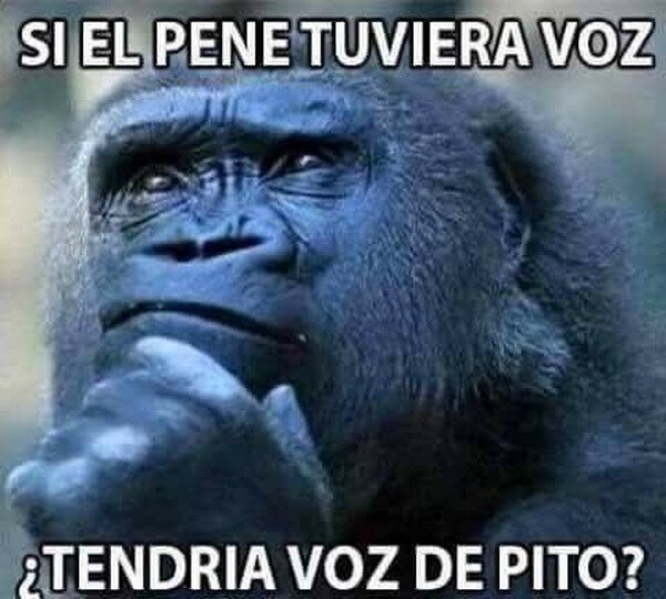 nepe,voz,pito,pregunta