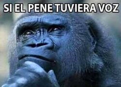Enlace a Buena pregunta