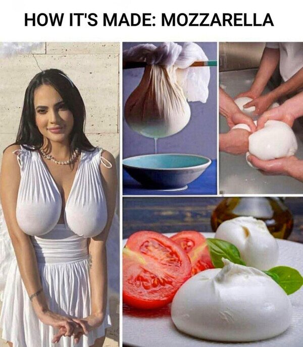 Meme_otros - Cómo hacer mozzarella