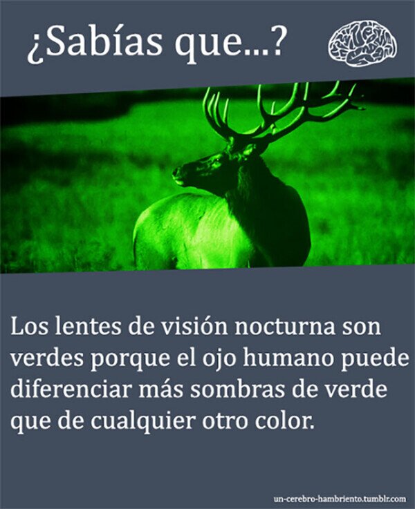 Meme_otros - El dato que necesitabas saber