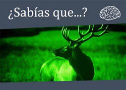 Enlace a El dato que necesitabas saber