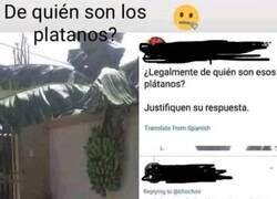 Enlace a Buena teoría