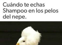 Enlace a El ganso quedó divino