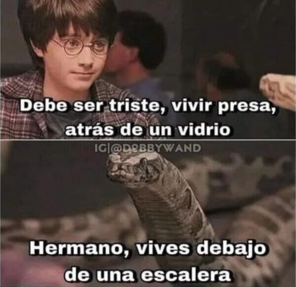 Otros - No te pases de listo, Harry