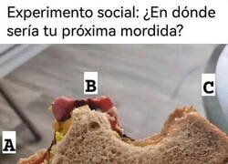 Enlace a ¿Dónde morderías?