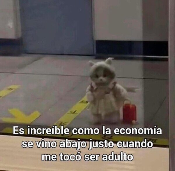 Meme_otros - Mala fortuna