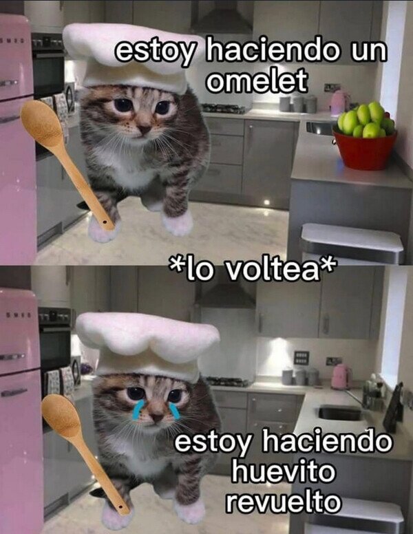 Meme_otros - No salió como esperaba