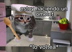 Enlace a No salió como esperaba