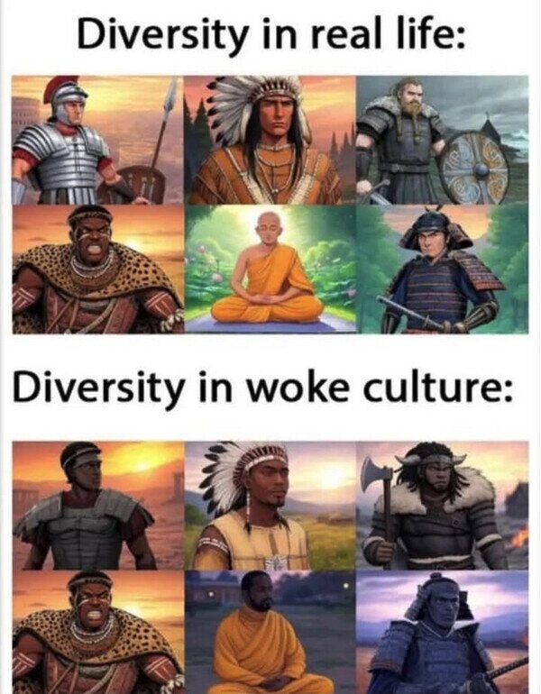 Meme_otros - Diversidad en la vida real