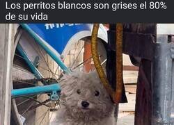 Enlace a Esto es así