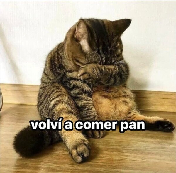 Meme_otros - Volví a arruinar la dieta
