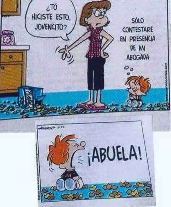 Meme_otros - Por esas abuelas protectoras