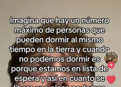 Enlace a Teoría para no dormir