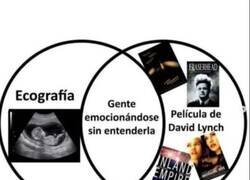 Enlace a Siento lo mismo al verlas