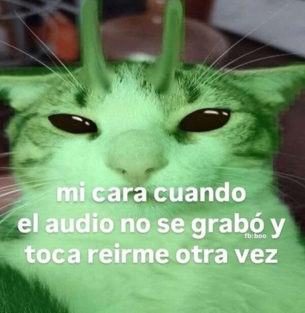 Meme_otros - Toca falsear mi mejor risa