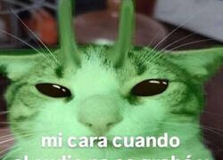 Enlace a Toca falsear mi mejor risa