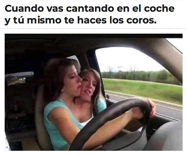 coche,cantar,coros,siameses
