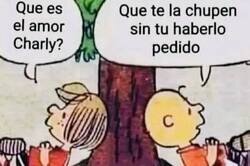 Enlace a ¿En qué comic de Snoopy hablaban de esto?