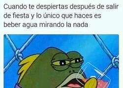 Enlace a Mañanas de resaca