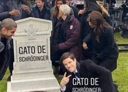 Enlace a ¿Esta vivo o no?