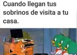 Enlace a Eso no se toca