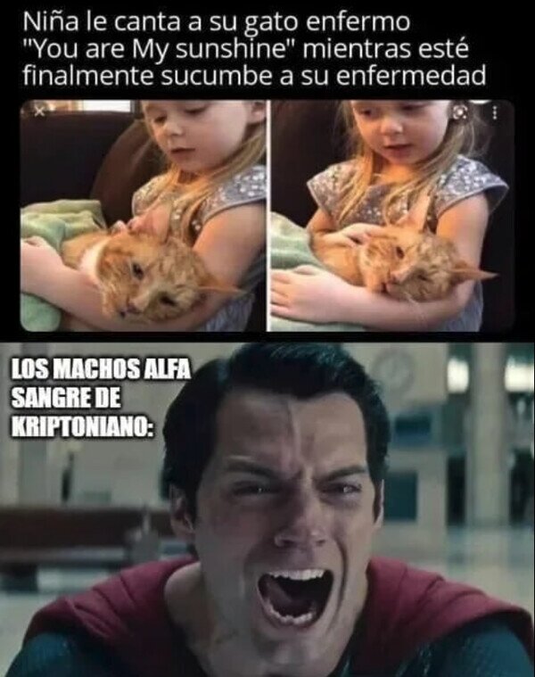 Meme_otros - Los hombres también sentimos