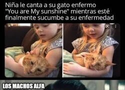 Enlace a Los hombres también sentimos